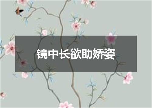 镜中长欲助娇姿