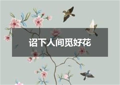 诏下人间觅好花