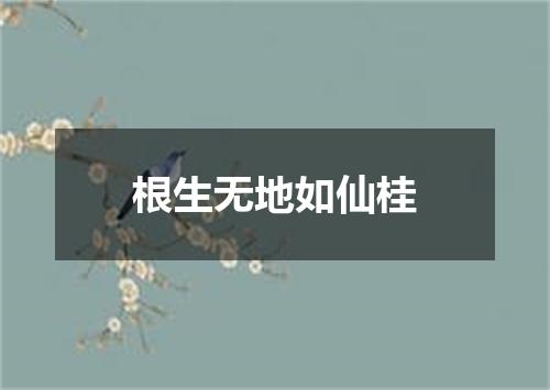 根生无地如仙桂