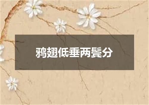 鸦翅低垂两鬓分
