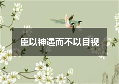 臣以神遇而不以目视
