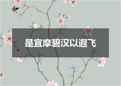 是宜摩碧汉以遐飞