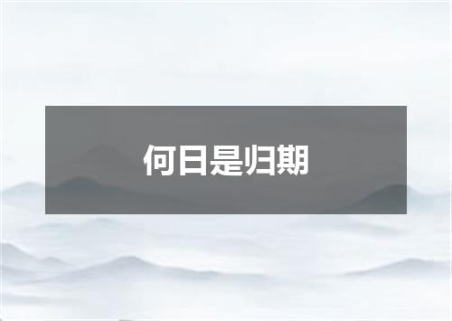 何日是归期