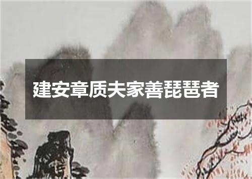 建安章质夫家善琵琶者