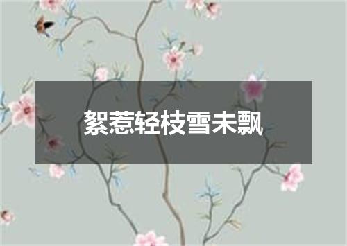 絮惹轻枝雪未飘