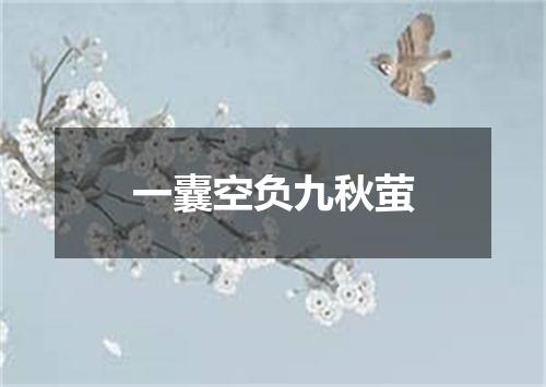 一囊空负九秋萤