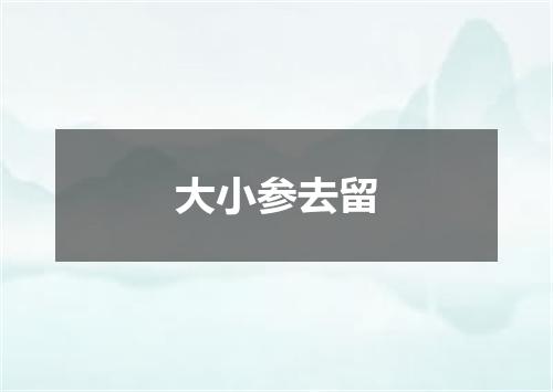 大小参去留