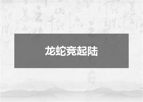 龙蛇竞起陆