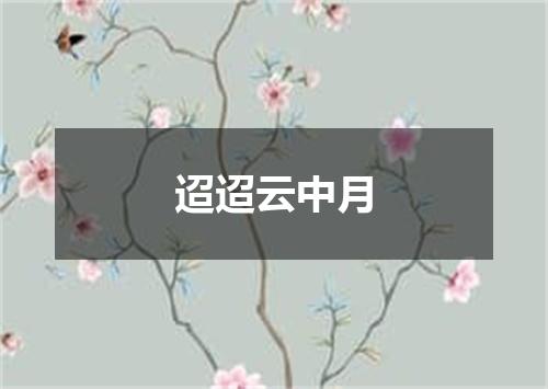 迢迢云中月
