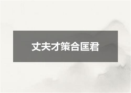 丈夫才策合匡君