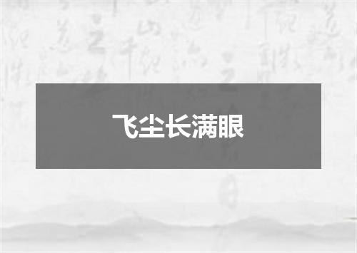 飞尘长满眼
