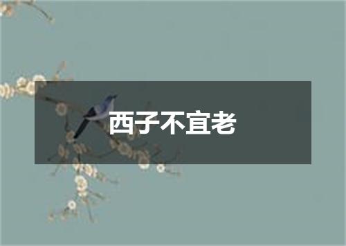 西子不宜老