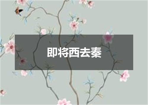 即将西去秦