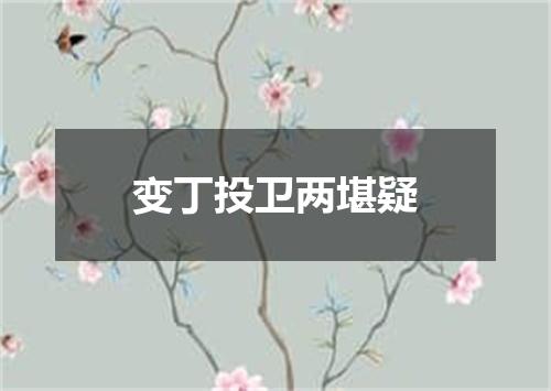 变丁投卫两堪疑