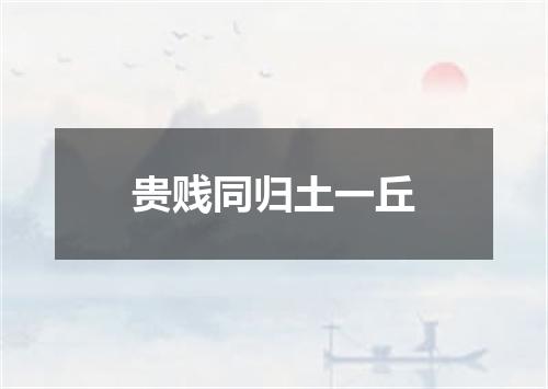 贵贱同归土一丘