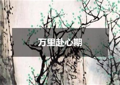 万里赴心期