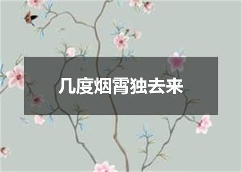 几度烟霄独去来