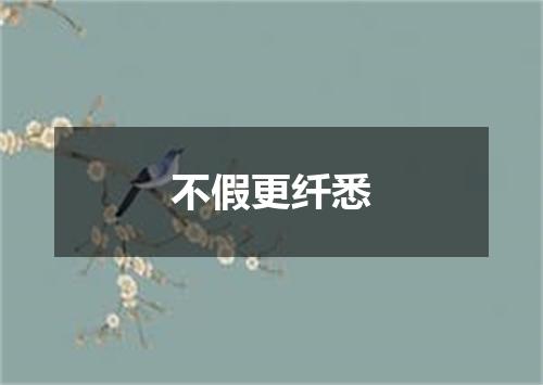 不假更纤悉