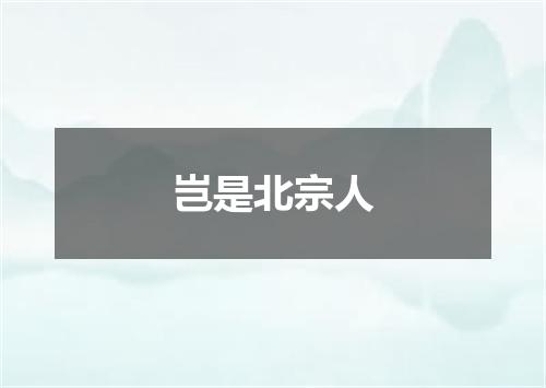 岂是北宗人