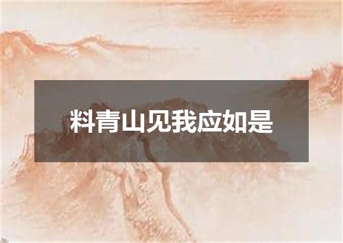 料青山见我应如是