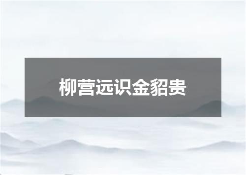 柳营远识金貂贵