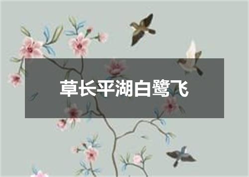 草长平湖白鹭飞