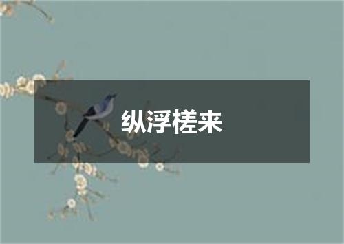 纵浮槎来