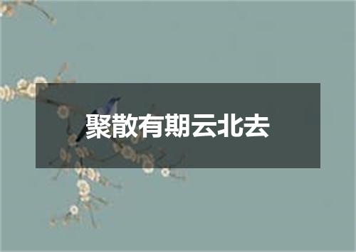 聚散有期云北去
