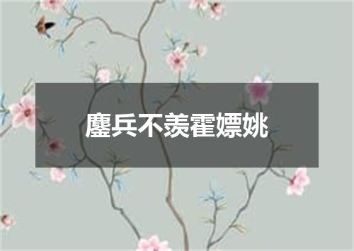 鏖兵不羡霍嫖姚