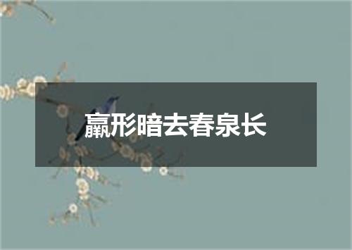 羸形暗去春泉长