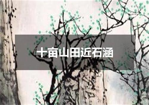 十亩山田近石涵