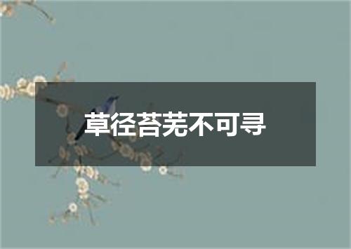 草径苔芜不可寻
