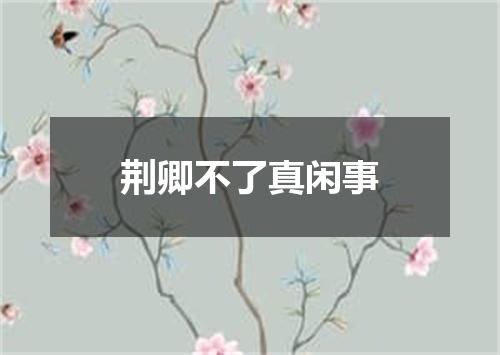 荆卿不了真闲事
