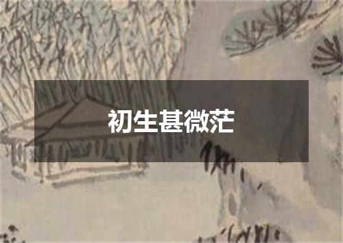 初生甚微茫