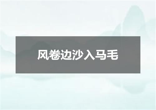 风卷边沙入马毛