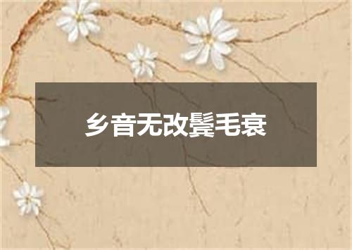 乡音无改鬓毛衰