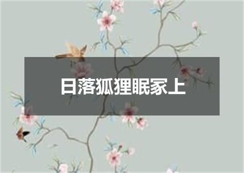 日落狐狸眠冢上
