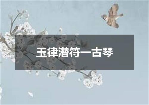 玉律潜符一古琴