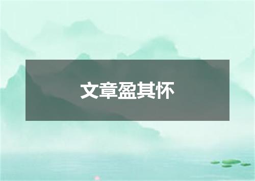文章盈其怀