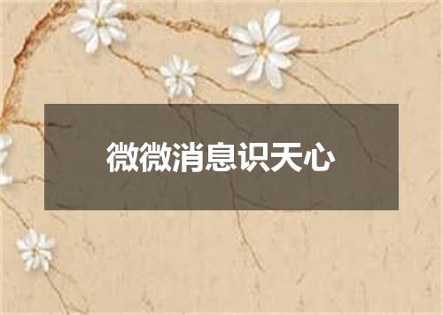 微微消息识天心