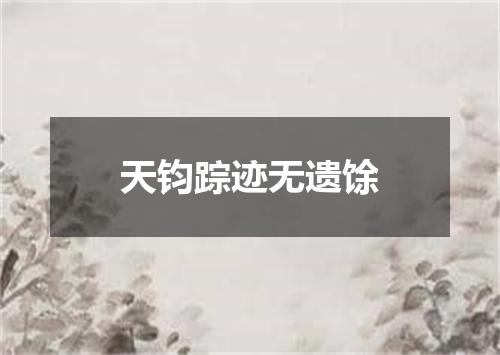 天钧踪迹无遗馀