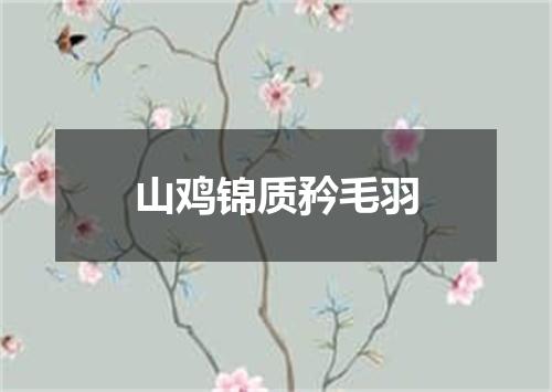 山鸡锦质矜毛羽