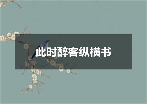 此时醉客纵横书