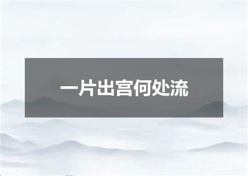 一片出宫何处流