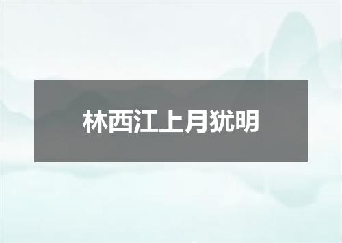 林西江上月犹明