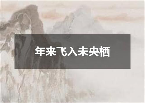 年来飞入未央栖