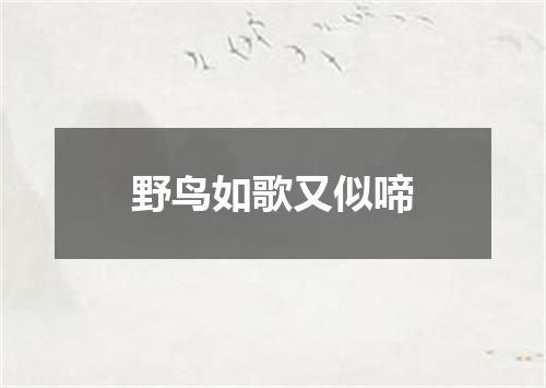 野鸟如歌又似啼
