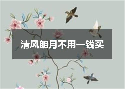 清风朗月不用一钱买