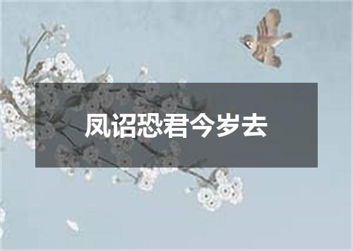 凤诏恐君今岁去