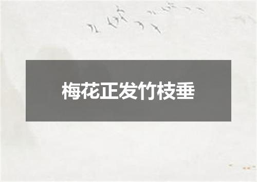 梅花正发竹枝垂